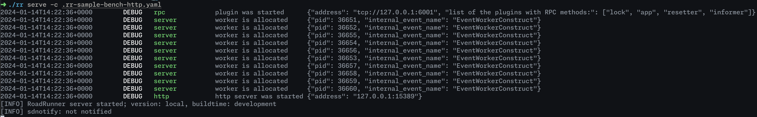 RoadRunner startup logs